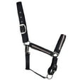 thumbnail image 2 of Hy Mystic Horse Halter, 2 of 3