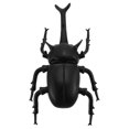thumbnail image 1 of QJUHUNG Simulation Beetle Model Ornament Vocalizing Beetle Toy Beetle Shape Cognitive Toy, 1 of 1