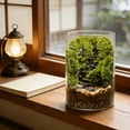 thumbnail image 2 of DIY Large Moss Terrarium Kit, High Borosilicate Glass Ecosystem Bottle for Indoor Plants, Moss Micro Landscape with Detailed Material Pack, Tools Included, 5.9 x 3.9 in Stress Calm Present, 2 of 8