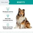thumbnail image 3 of Chew + Heal Cat and Dog Dewormer - 4 oz - Wormer Liquid to Paralyze and Expel Roundworms - Kitten and Puppy Dewormer, 3 of 9