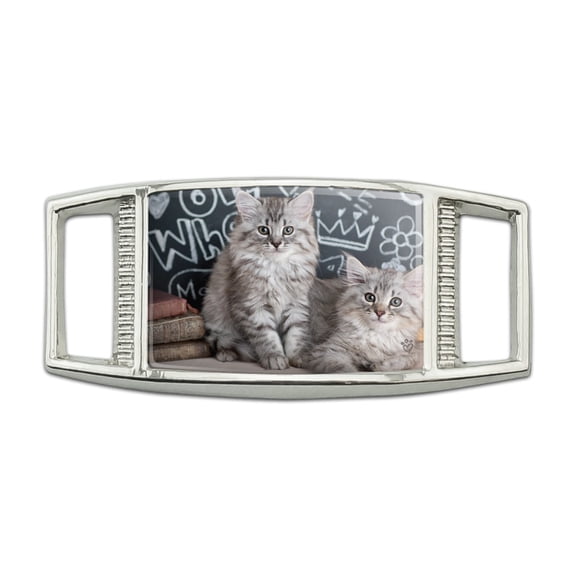 Siberian Tabby Kittens Cats School Chalkboard Learning Rectangular Shoe Shoelace Shoe Lace Tag Runner Gym Charm Decoration