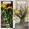 thumbnail image 2 of Spiral Ikebana Stem Holder,Set of 2 Spiral Stem Holder for Flowers, Stem Holder for Vases,DIY Bouquet Twister Flower Arrangement Holder S+L, 2 of 4