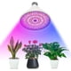 thumbnail image 2 of 4 bombillas LED para cultivo de plantas de interior, lámpara de espectro completo para decoración de jardín (B22-60 cuentas), 2 of 3