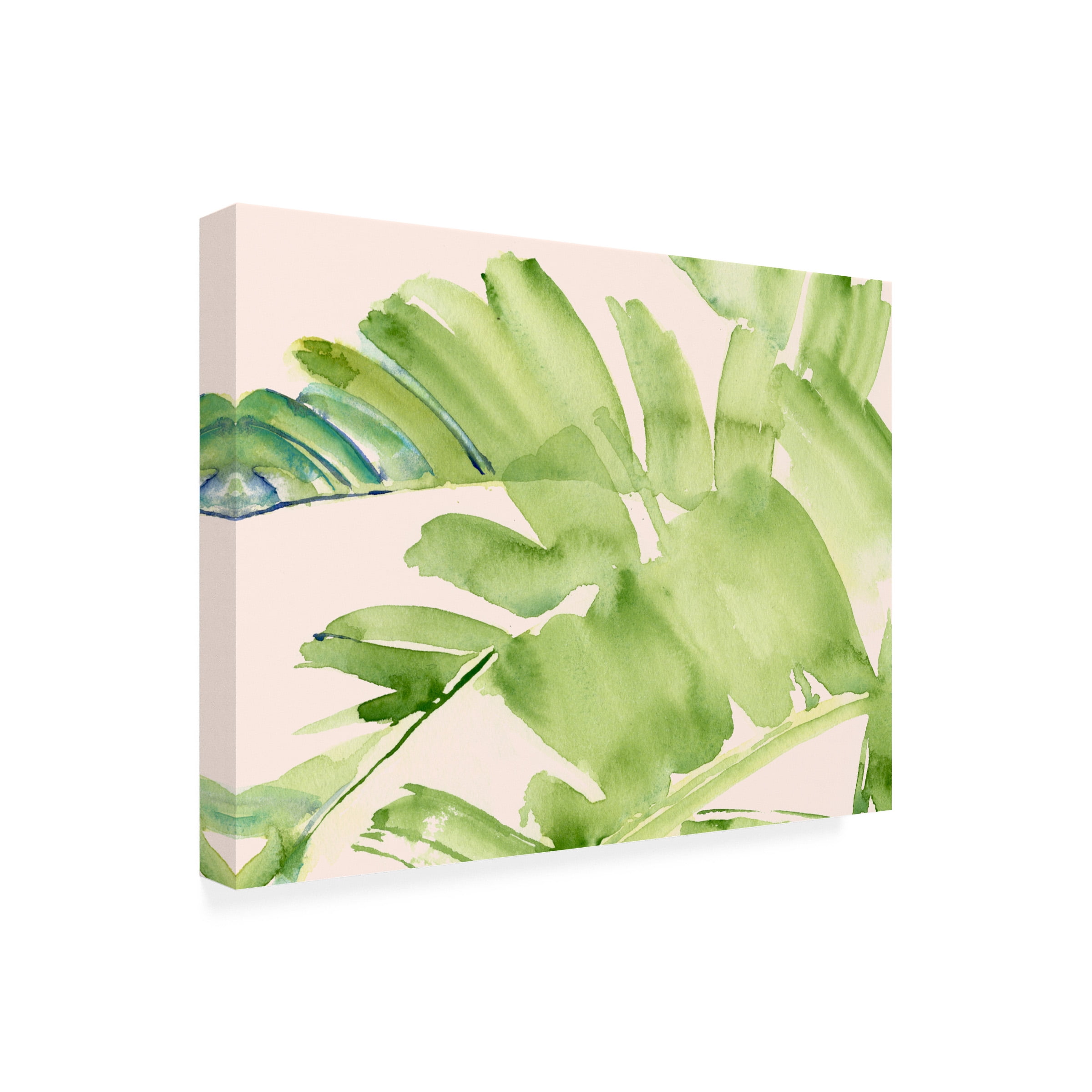 Jennifer Paxton Parker 'Peachy Palms II' Outdoor Canvas
