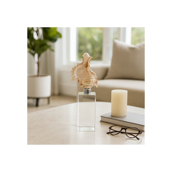 Decorative Shell Sculpture on Crystal Base for Home Decor - Figurine Accent for Bathroom, Office, or Living Room - Unique Ornaments Statues for Shelf or Coffee Table - 8", Clear & White