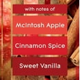 thumbnail image 3 of Glade®&Triple Wick;Scented Candle;Air Freshener, Apple Cinnamon, 3 of 5
