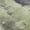 Fern, variant on Dalyn Rugs Premium Machine Washable Mayfield AMF1068 Sage 2'3" x 7'6" Runner Rug