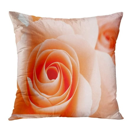 - ECCOT Pink Affection Orange Rose Abstract Beautiful Red Anniversary Aroma Bloom Blossom Board Pillowcase Pillow Cover Cushion Case 20x20 inch
