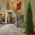 thumbnail image 2 of National Tree Company Artificial Slim Christmas Tree, Green, Kingswood Fir, Includes Stand, 12 Feet, 2 of 4