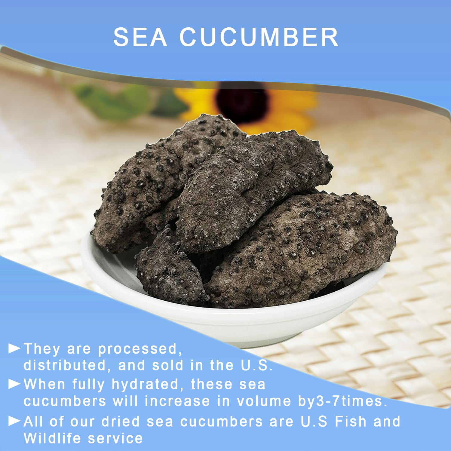 16OZ Sun Dried Wild Caught 5-6 Years South American Sea Cucumber, AAA Grade All Natural Nutritious  50-60pcs LB Small