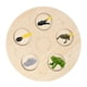 thumbnail image 5 of Tablero de ciclo de crecimiento de madera, juguetes para niños, educación temprana, aprendizaje de animales, juegos, regalos, 5 of 8