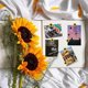 thumbnail image 5 of Sunflower Printed Thumbtacks - Decorative Push Pins for Bulletin Boards and Office, 5 of 5
