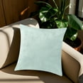 thumbnail image 5 of zhangmingg Housse de Coussin Décorative en Velours pour Canapé Lit Salon Maison, 5 of 5