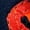Navy Neon Orange, variant on Water Shoes for Toddler Aqua Socks Beach Sports Swim Pool Quick Dry Lightweight
