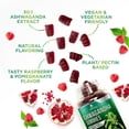 thumbnail image 6 of Ashwagandha Gummies - Advanced Ashwagandha Gummy Formula for Daily Use - Natural Antioxidant Support & Brain Health Support - Natural Calm, Relaxation, & Immune Support - Berry Flavor - 60 Gummies, 6 of 10