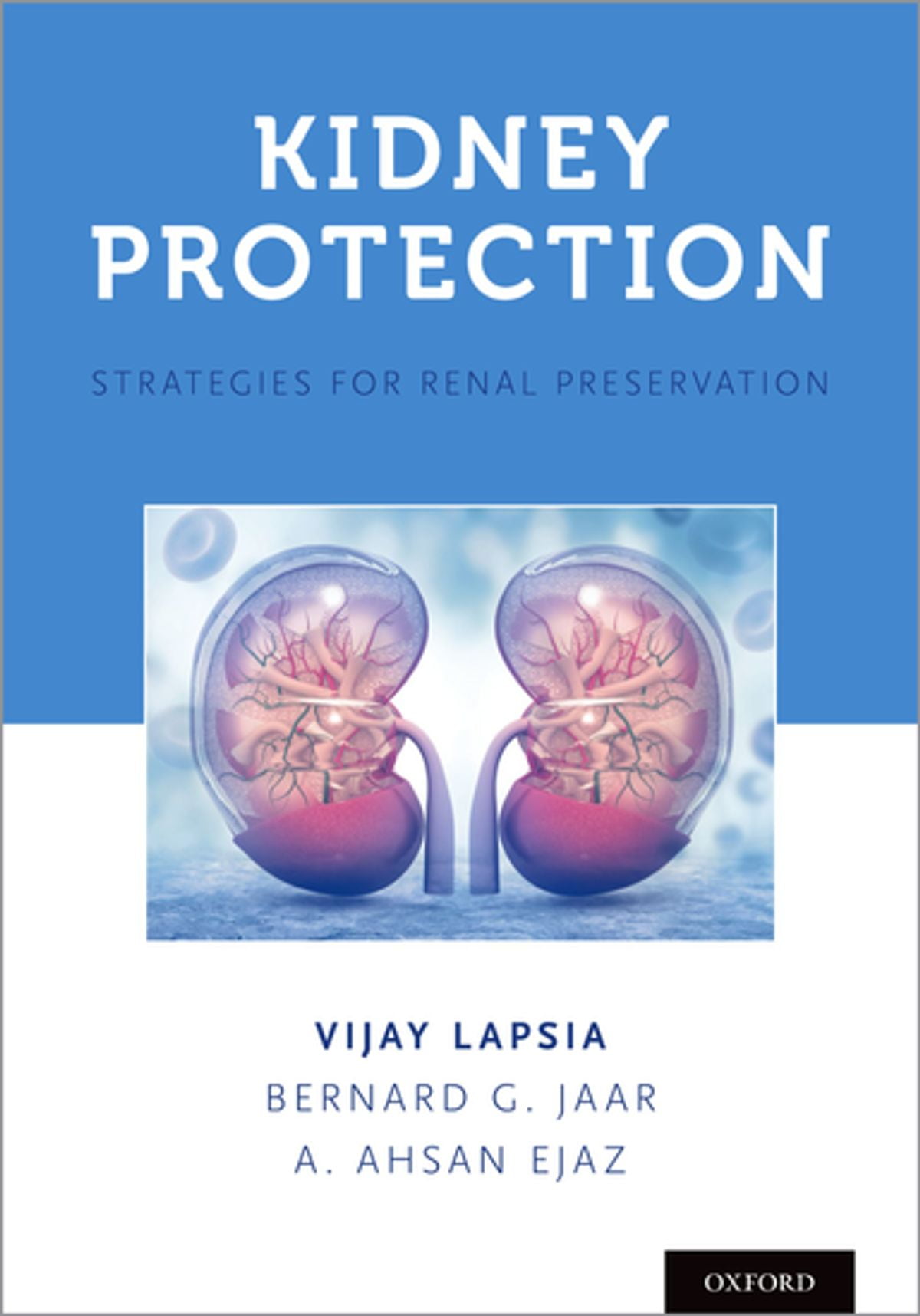 Kidney Protection: The Amazing Power Of This Clear Covering - 3459lcj