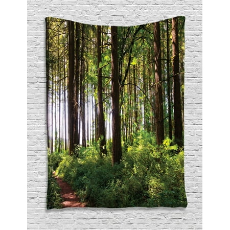 Farm House Decor Wall Hanging Tapestry, Pathway In A Shady Forest Of Bushes And Thick Trunks Grass Unique Wild Life Scenery, Bedroom Living Room Dorm Accessories, By (Best Grass For Shady Areas In The South)