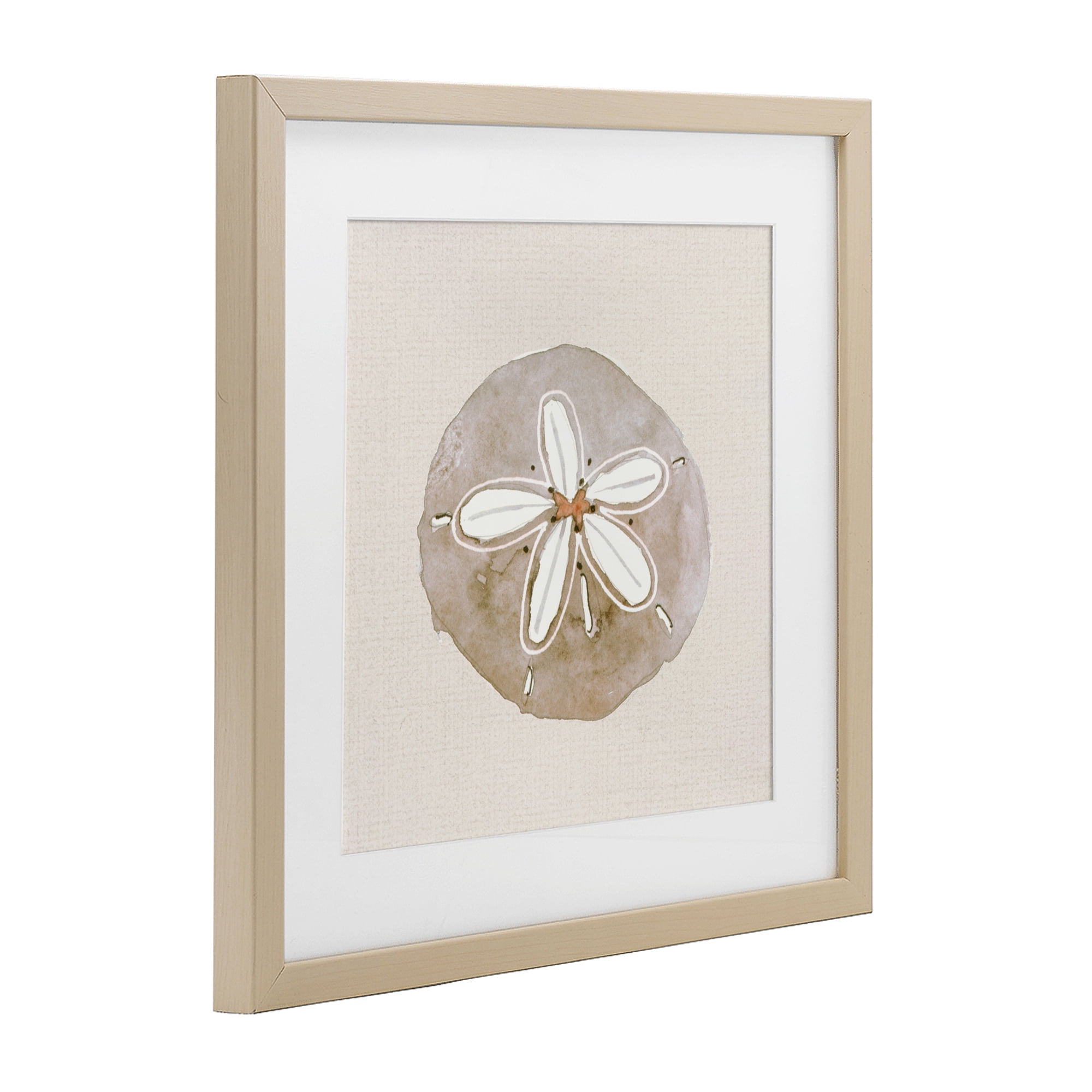 Stupell Industries Serene Beige Sand Dollar Birch Framed Print Under Glass, design by Lanie Loreth