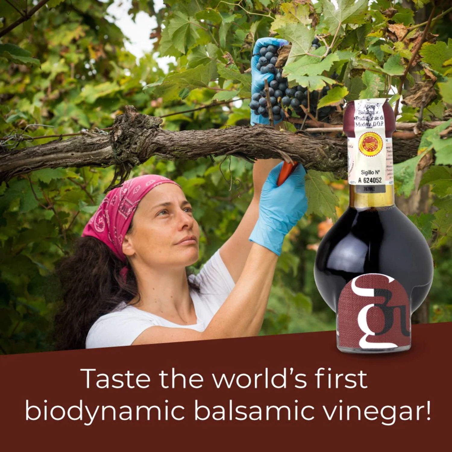Guerzoni, Traditional Balsamic Vinegar of Modena DOP 'Affinato' (12 Year) Organic  Biodynamic Certified, 100 ml