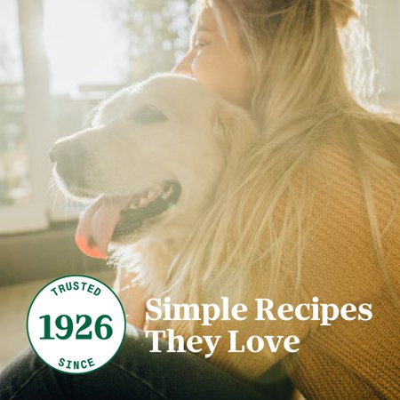 NUTRO SO SIMPLE CHICKEN RECIPE IN BONE BROTH WET DOG MEAL COMPLEMENT, 2 OZ TRAY