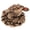 330 Bronze Lucky Toad, variant on Tibvox Feng Shui Money for Toad Lucky Fortune Wealth Chinese Golden for Frog for Toad Coin Home Office Decoration Tabletop Orna