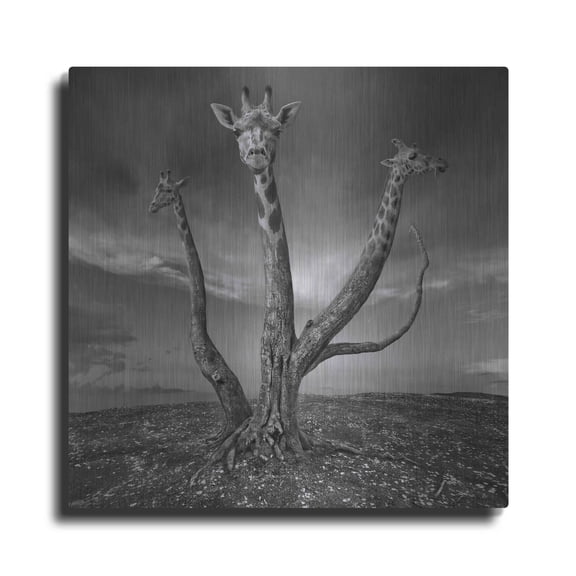 Luxe Metal Art 'Giratree' by Dariusz Klimczak, Metal Wall Art, 36"x36"