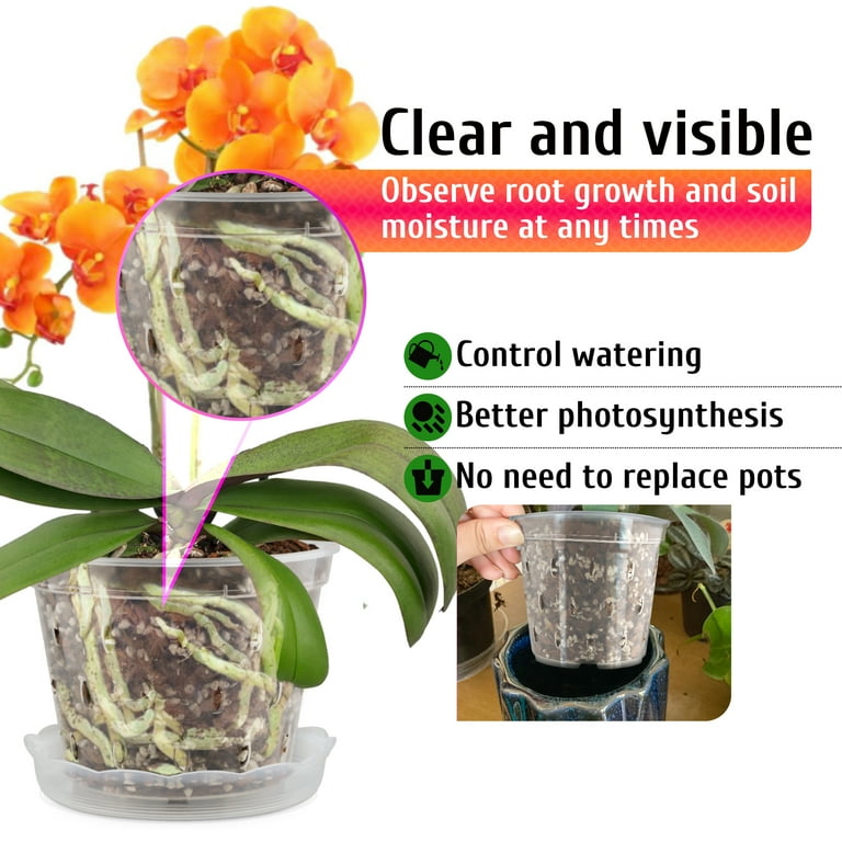 Fabulas Clear Orchid Pots with Saucers, 5.5 Inch, 8-Pack photo 4