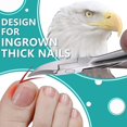 thumbnail image 3 of Toenail Clippers for Thick Nails, Large Nail Clippers for Ingrown Toenails Professional Podiatrist Stainless Steel Sharp Curved Blade Nail Cutter for Man, Women and Adults, 3 of 5