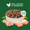 thumbnail image 5 of Rachael Ray Nutrish Adult Dry Dog Food Real Chicken & Veggies Recipe, 5 lb., 5 of 11