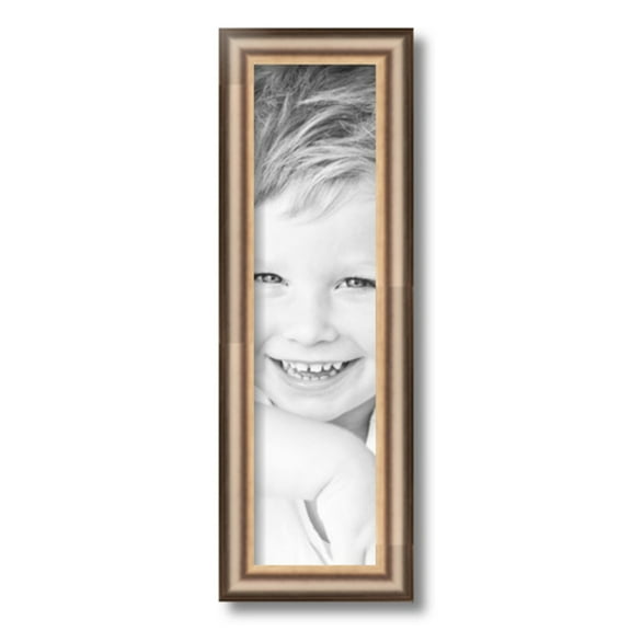 ArtToFrames 5x19" Anique Silver Picture Frame, Silver Wood Poster Frame, with Regular Glass and 2 (FBPL-4964)