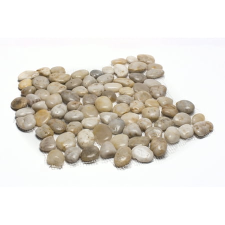 Italian Tile Stone Rainforest White Mid-Polish Pebble Stone Floor and Wall Tile 12 in. x 12 in. (5.0 sq. ft. / case) ()