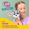 thumbnail image 3 of Peluche interactivo Little Live Pets Mini Aurora Husky, 3 of 8