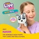 thumbnail image 3 of Peluche interactivo Little Live Pets Mini Aurora Husky, 3 of 8