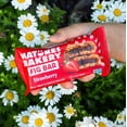 thumbnail image 5 of Nature's Bakery Whole Wheat Fig Bar Strawberry, 2 oz Twin packs, 10 Count, 5 of 8