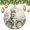 pattern-3062, variant on Christmas Ornaments Zebra Horse Black White Animal Custom 3" Ceramic 2024 Xmas Ornament Xmas Ornament for Family Sister Friends Cute Zebra Painting Ceramic Ornament