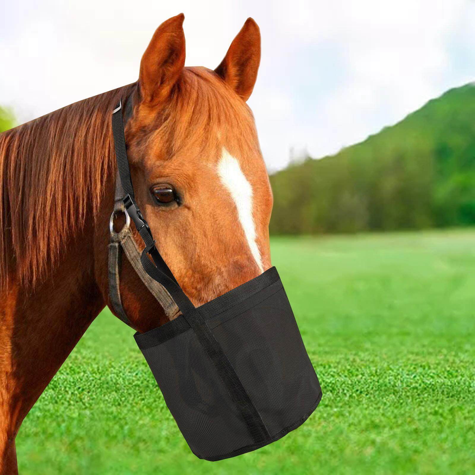 Horse with a feed bag sale