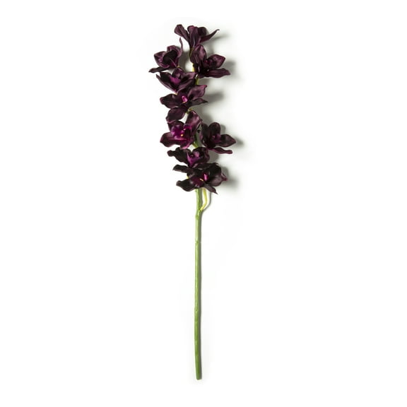 Tropical Cymbidium Spray by Ashland®
