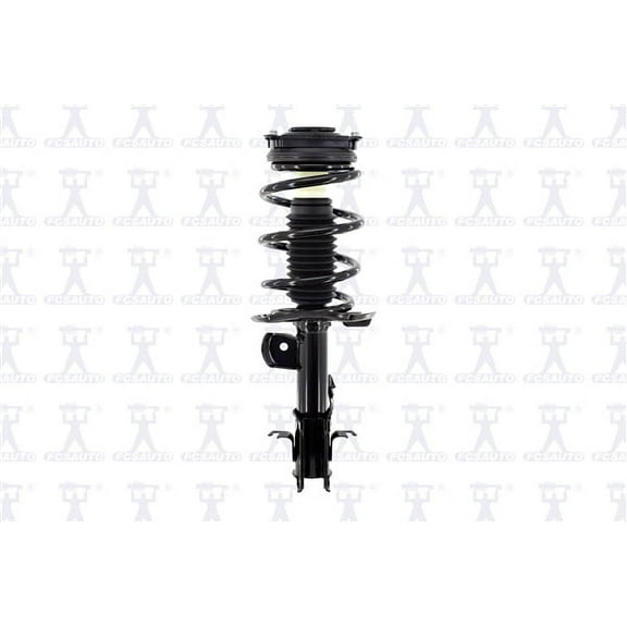 Suspension Strut and Coil Spring Assembly