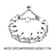thumbnail image 3 of Fiudx Collar de Metal para Perro, Diseño de Acero Inoxidable Resistente, Eslabones de Cadena Ajustables, Hebilla de Seguridad, para Adiestramiento Canino, Paseos, Duradero y Cómodo, Talla Única., 3 of 5