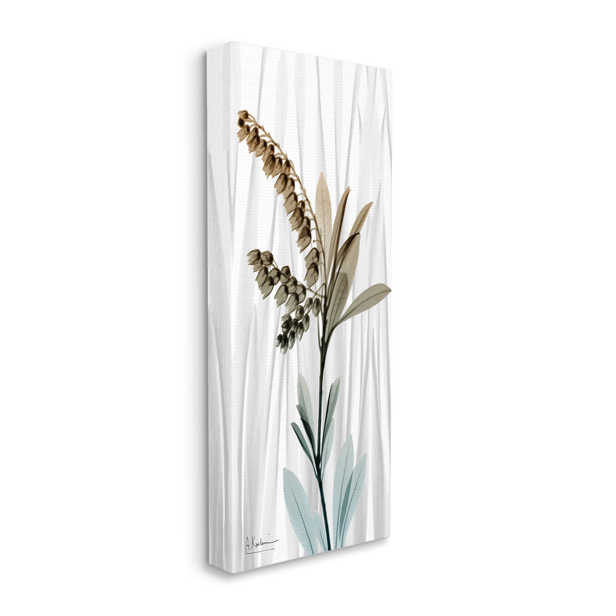 Stupell Industries Modern Snowdrops Flower Botanical & Floral Painting Gallery Wrapped Canvas Print Wall Art, 17 x 40