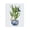 Tropical Floral Botanicals Cockatiel Planter, variant on Stupell Industries Glam Traditional Birds on Planter Canvas Art, 16 x 20, by Fab Funky