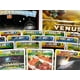 thumbnail image 3 of Terraforming Mars: Venus Next Expansion - Explora y coloniza Venus con nuevas cartas y juegos de mesa de desafíos estratégicos - Mayores de 12 años - Stronghold Games, 3 of 8