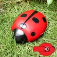 thumbnail image 2 of Ladybug Spare Keys Hider Outdoor Weatherproof Key Hiders for Garden Outdoor(Frog), 2 of 5