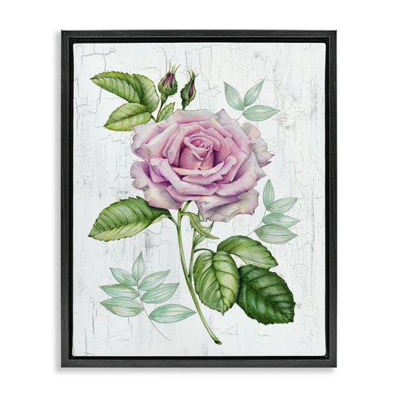 Stupell Industries English Manor Rose Botanical & Floral Painting Black Floater Framed Canvas Art Print Wall Art, 17 x 21