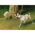 thumbnail image 2 of Arthur Heyer 14x11 Black Ornate Wood Framed Double Matted Museum Art Print Titled: Dog and Cat, 2 of 5