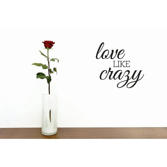 Love Like Crazy Vinyl Wall Decal for Home - Dreams Beautiful Twinkle Eyes Sweet Loved Cute Wall Décor Bedroom Living Room Entry - Removable High Tact - Size: 12 In x 12 In