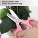 thumbnail image 3 of Floral Shears, Premium Steel Garden Pruning Shears Floral Fruits Leaf Scissors Hand Pruner Snip Trimming Tool for Gardening Flower Arrangement (Pink), 3 of 5