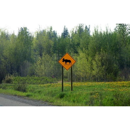 Moose Warning Sign - LAMINATED POSTER Canada Moose Road Sign Wildlife Travel Warning Poster Print 24x16 Adhesive Decal