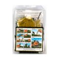 thumbnail image 2 of Woodland Scenics Learning Kit - Scenery Details New, 2 of 2