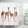 thumbnail image 1 of ABPHQTO Animal acuarela cuatro cervatillos bebé ciervo vida silvestre libro gráfico camiseta aislamiento lindo baño ducha cortinas 152x180 cm ABPHQTO PKNMT60x72Shower-3423, 1 of 2